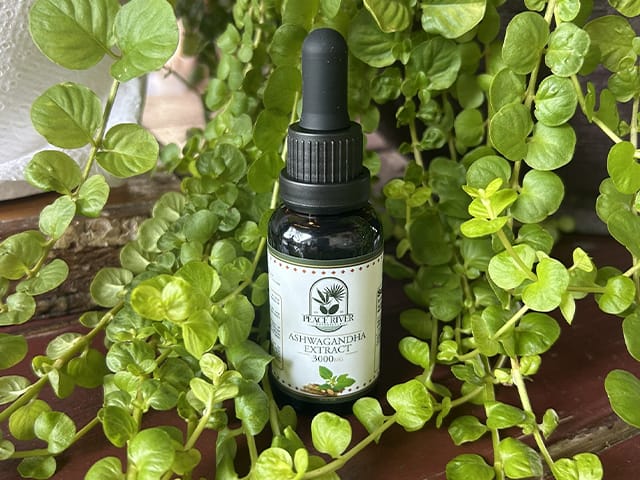 Ashwagandha extract.