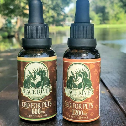 CBD for Pets