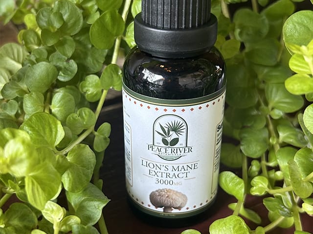 Lion's Mane mushroom extract.