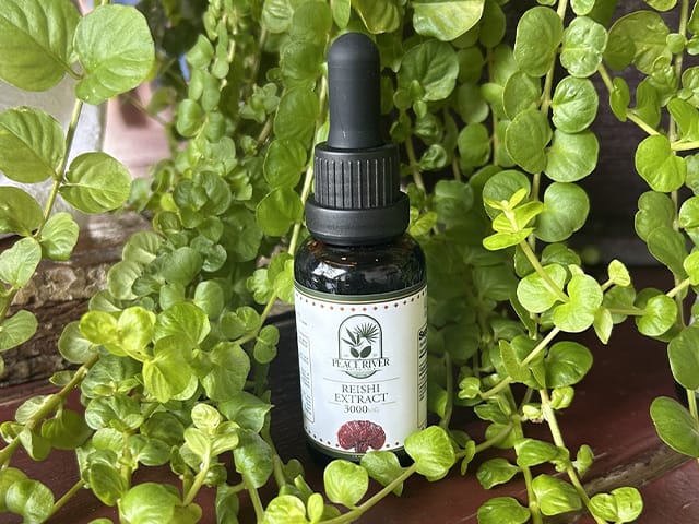 Reishi mushroom extract.